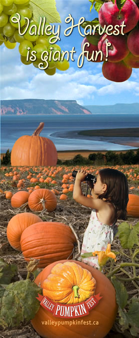 2011 2009 Pumpkin Festival cover image